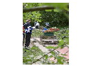 thumbnail11