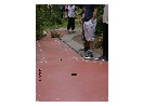 thumbnail24