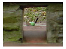 thumbnail46